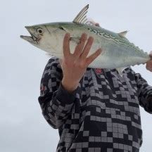 stripers on line|Main Fishing Forum .